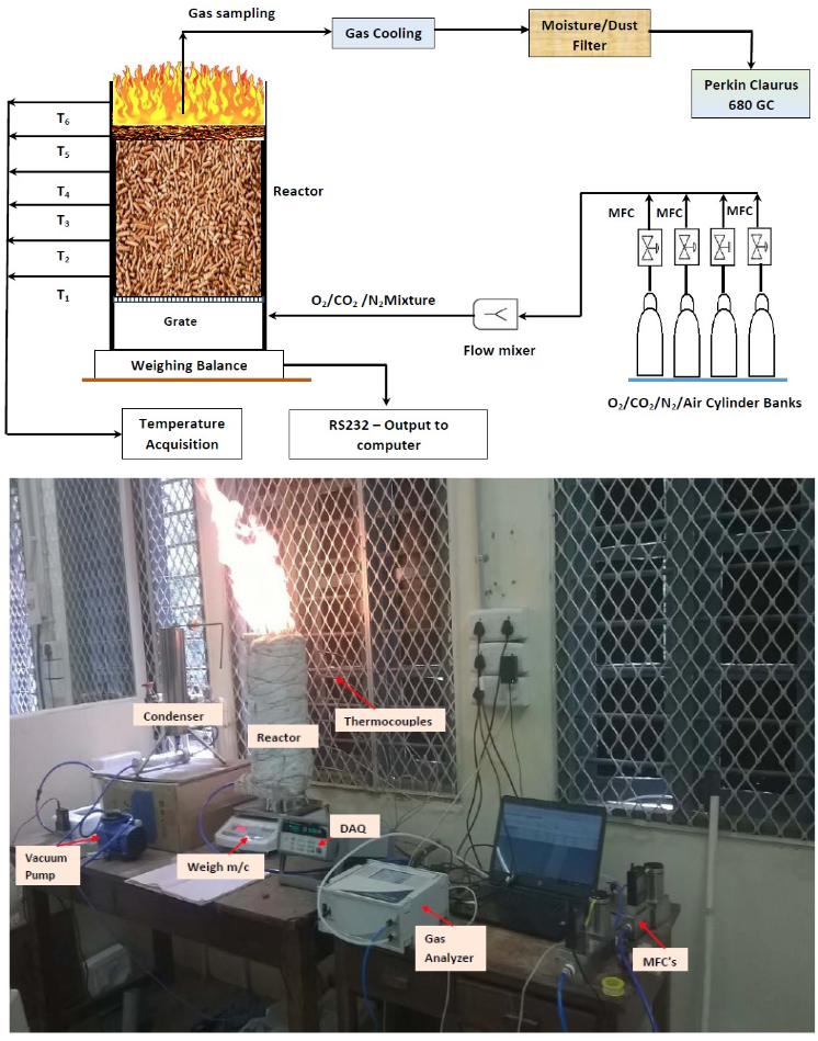 Counter-current biomass packed bed reactor